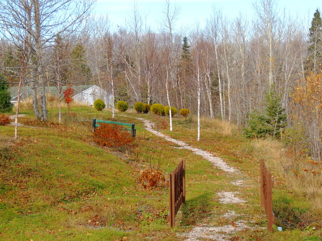 Les restes de l'automne, Pointe-Verte, Nouveau-Brunswick Canada