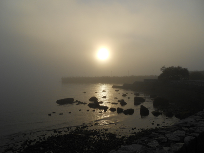 Fog at the Pier Vancouver, British Columbia Canada