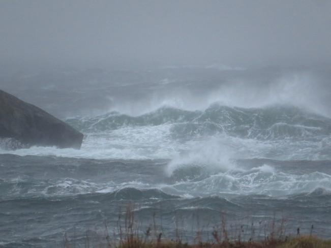 wave over wave Rock Harbour, Newfoundland and Labrador Canada