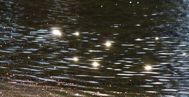 Stars on the pond London, Ontario Canada