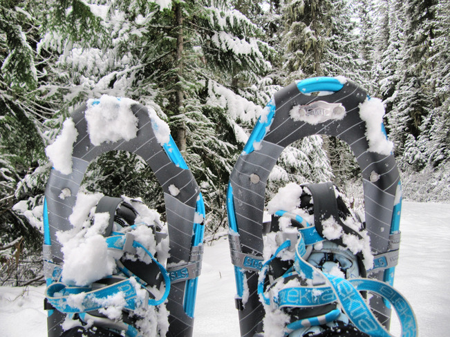 Snowshoe Time Enderby, British Columbia Canada
