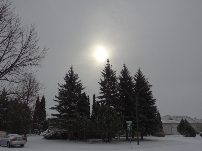 WINTER SUN Gimli, Manitoba Canada