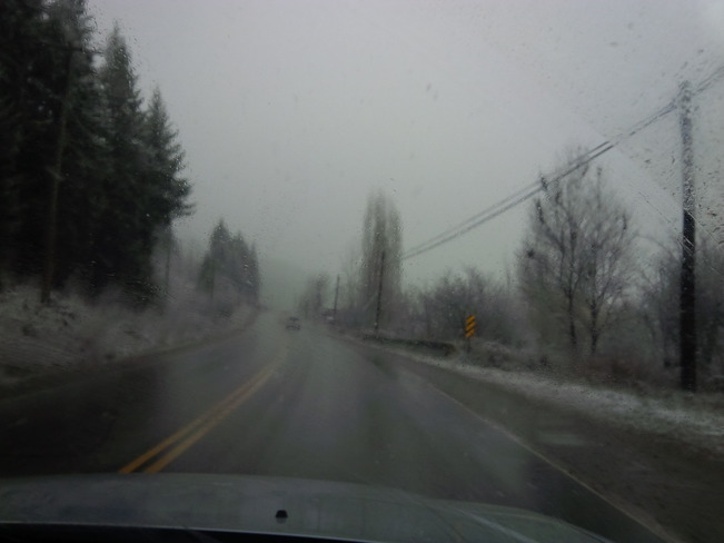 Snow and fog Enderby, British Columbia Canada