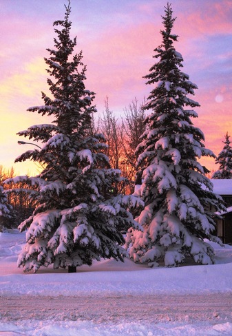 November Sunrise Drayton Valley, Alberta Canada
