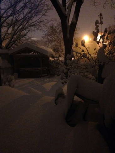 Snow Squalls London, Ontario Canada