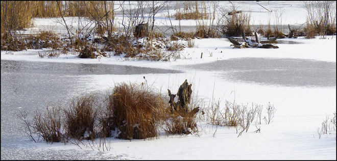 Sheriff Creek, frigid and frozen. Elliot Lake, Ontario Canada
