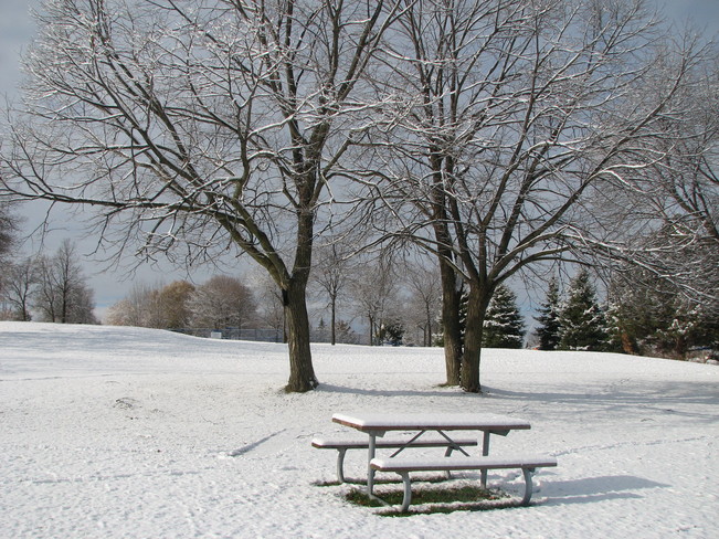 Early snow.... North York, Ontario Canada