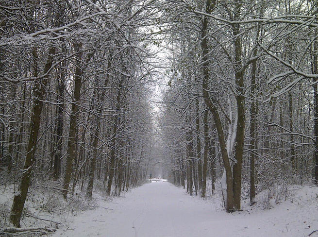 Winter path Ottawa, Ontario Canada