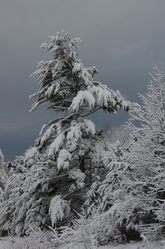 Snow load Colborne, Ontario Canada