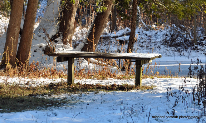 wainting for someone to sit on Brooklin, Ontario Canada