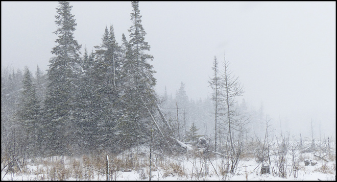 Sheriff Creek snow storm. Elliot Lake, Ontario Canada