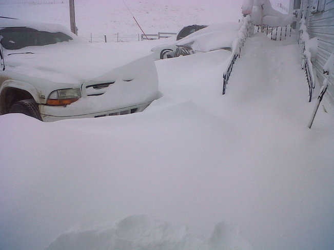 Snowed In! Cardston, Alberta Canada