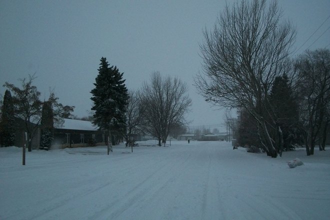 out for a morning walk St. Malo, Manitoba Canada