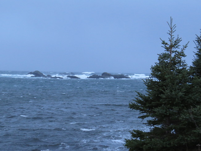 strong winds Rock Harbour, Newfoundland and Labrador Canada