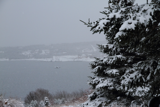 Transition from snow to rain Bay Roberts, Newfoundland and Labrador Canada