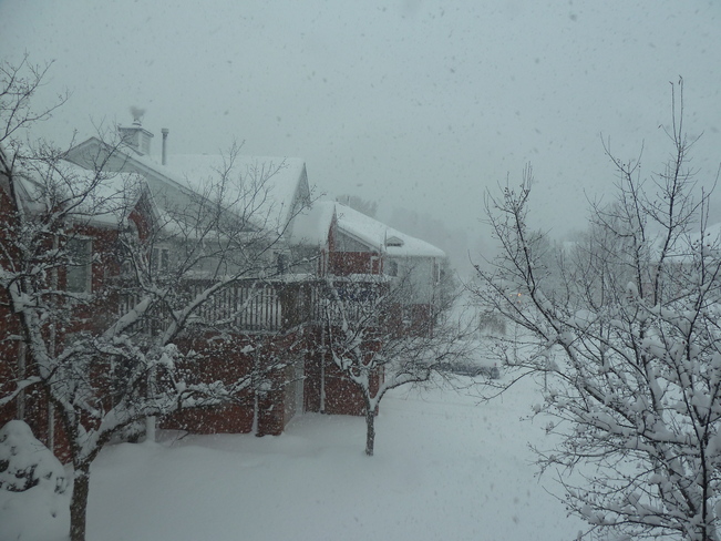 Snow Squalls Bracebridge On. Bracebridge, Ontario Canada