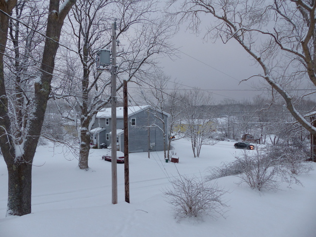 Still snowing Shelburne, Nova Scotia Canada