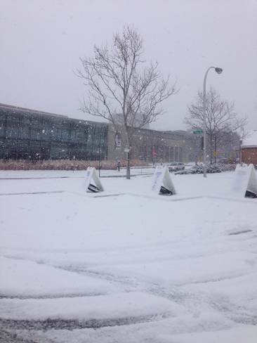 Snowfall at Brock University St. Catharines, Ontario Canada