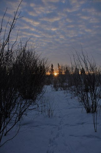 Sunrise with powder puff clouds Saskatoon, Saskatchewan Canada