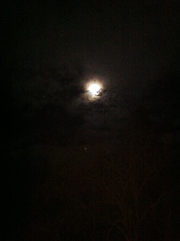 cool moonlight. Wainwright, Alberta Canada