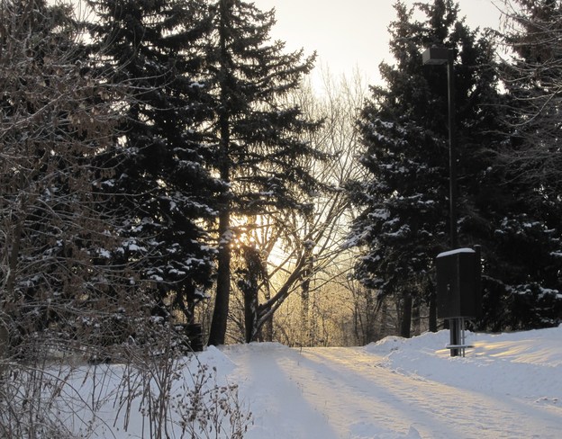 sunlight on the path Mississauga, Ontario Canada