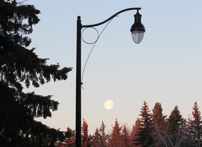 daytime Moon Edmonton, Alberta Canada