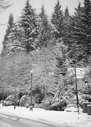 snow in Westwood Plateau Coquitlam 2, British Columbia Canada