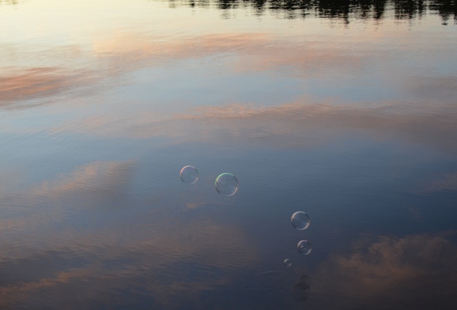 Bubbles Muskoka, Ontario Canada