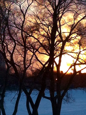 beautiful sunset Winnipeg, Manitoba Canada