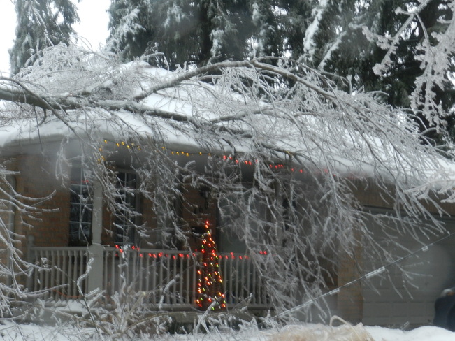 Ice storm results 