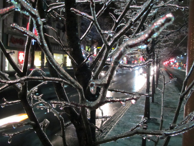 Ice Storm Downtown Chinatown Toronto 