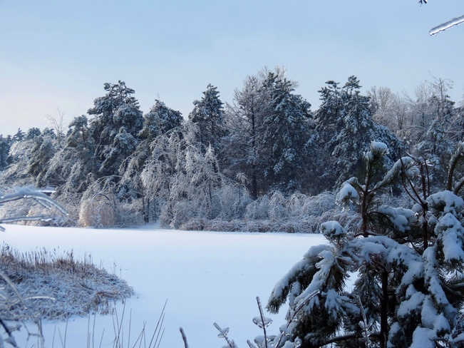 Beautiful Winter Scene Mississauga, Ontario Canada