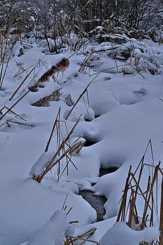 Snow-Covered Stream Goderich, Ontario Canada