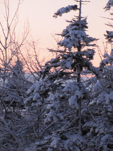 Winter Sunset Halifax, Nova Scotia Canada