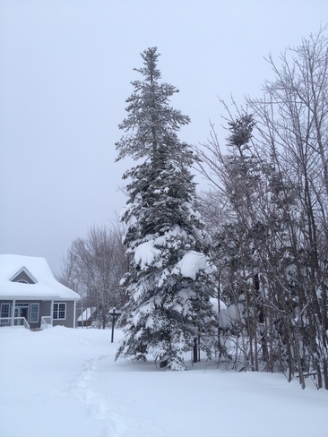 Snow Accumulation in St-AndrÃ©-LeBlanc - NB Cap-Pele, New Brunswick Canada