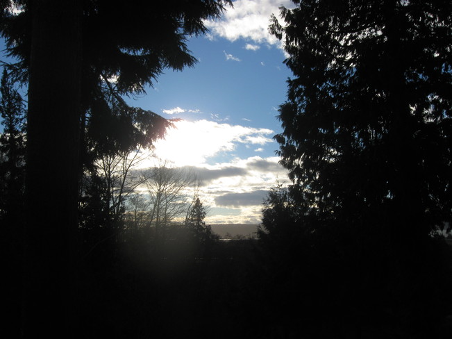the sun is up! Surrey, British Columbia Canada