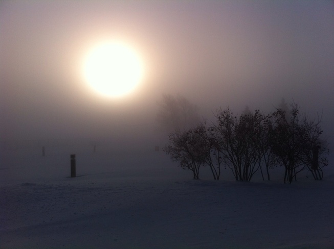 Ice Fog Morning Porcupine, Ontario Canada