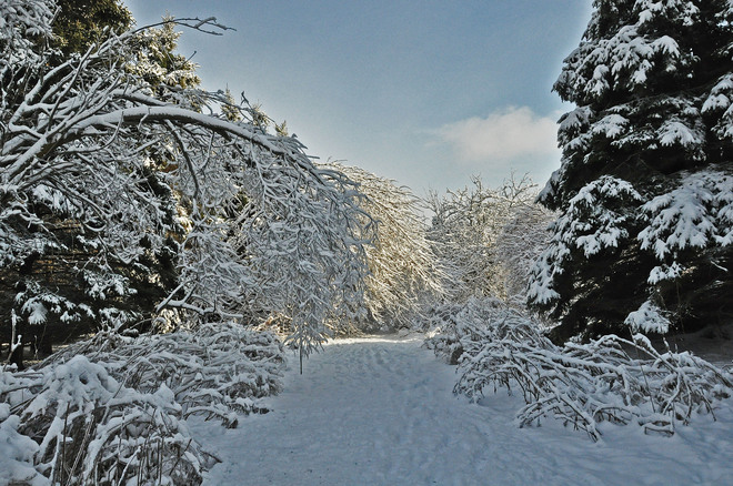 Winter Wonderland Whitby, Ontario Canada