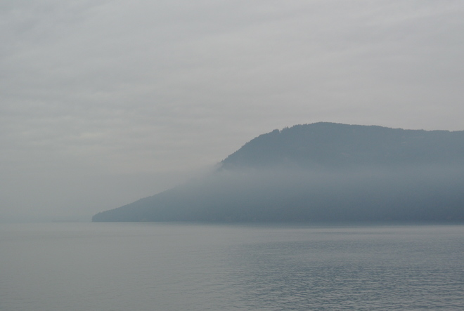 Foggy morning on the way to Salt Spring Island Salt Spring Island, British Columbia Canada