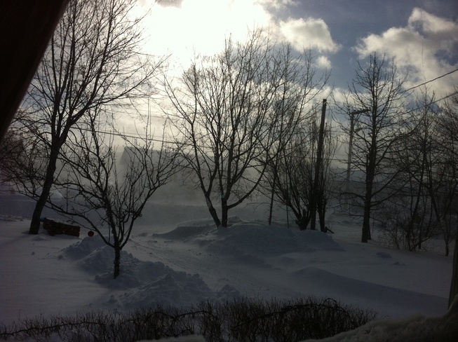 blowing snow Carbonear, Newfoundland and Labrador Canada