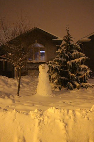 Snowman Windsor, Ontario Canada