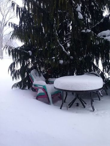 Sarnia Snow Sarnia, Ontario Canada