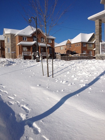 snow day near my house Newmarket, Ontario Canada