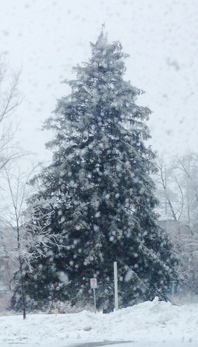 a big snow storm Newmarket, Ontario Canada