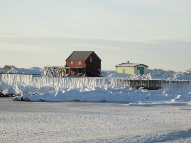 the beauty of winter Bonavista, Newfoundland and Labrador Canada