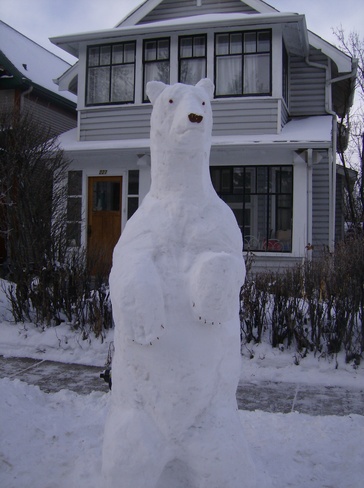 Snow Bear Calgary, Alberta Canada