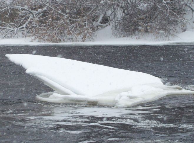 Lovely Iceberg on the Moira River Belleville, Ontario Canada