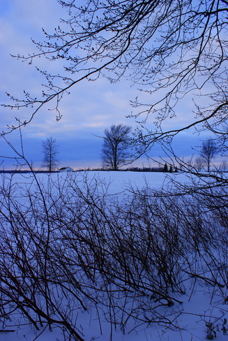 Blue sunset Orillia, Ontario Canada