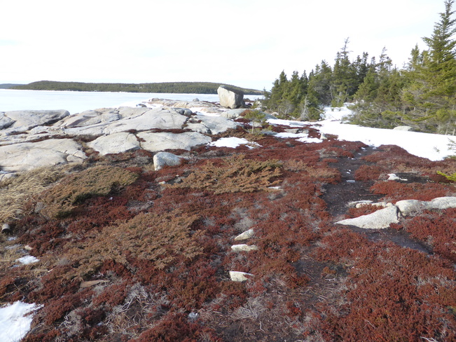 Winter Break Birchy Bay, Newfoundland and Labrador Canada