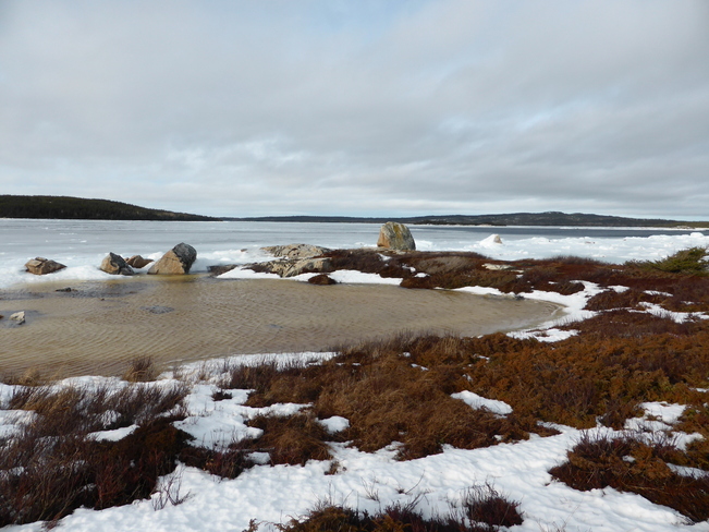 Snow Is Melting Fast Birchy Bay, Newfoundland and Labrador Canada